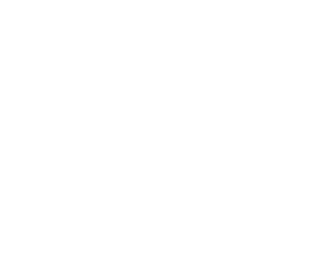 Termidor