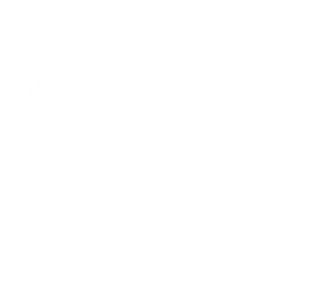 Termidor