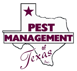 Exterminator Dallas TX Pest Management of Texas, Inc.