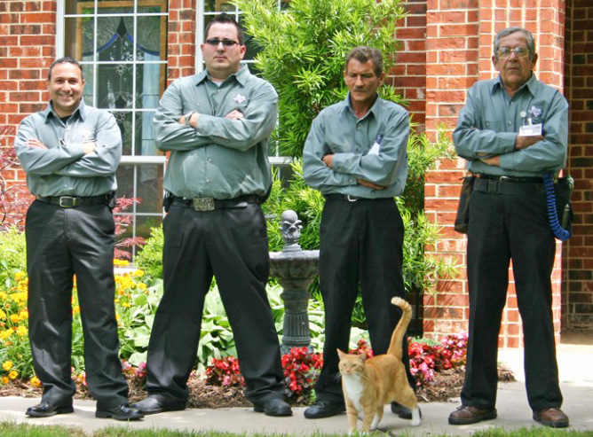 Exterminator Dallas TX Team at Work Exterminator Dallas TX Team at Work