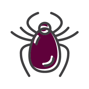 Pest Control Dallas TX Tick